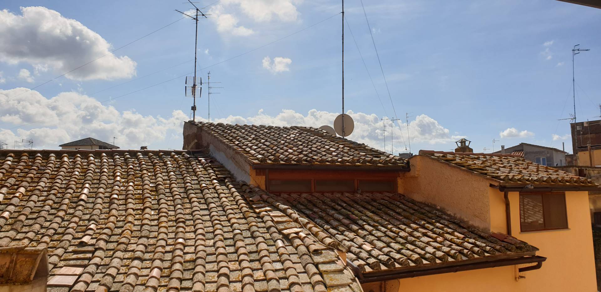 Appartamento VITERBO vendita  Centro  Coldwell Banker Immobiliare Sintony
