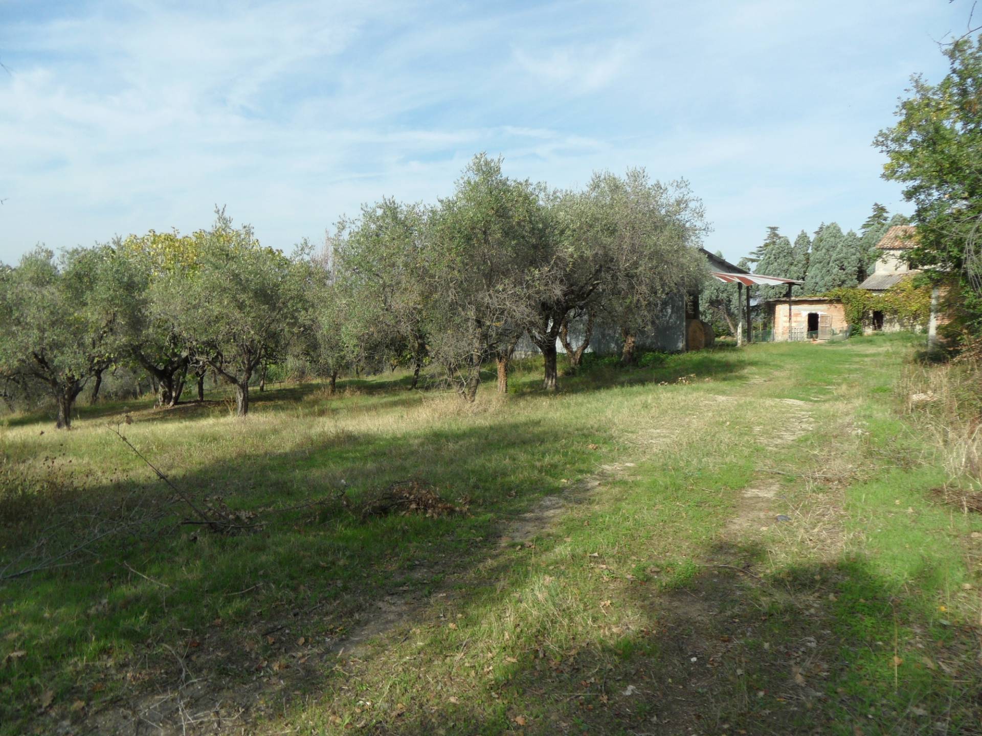 Villa Unifamiliare - Indipendente CORIANO vendita  Vecciano  Coldwell Banker Prime Properties