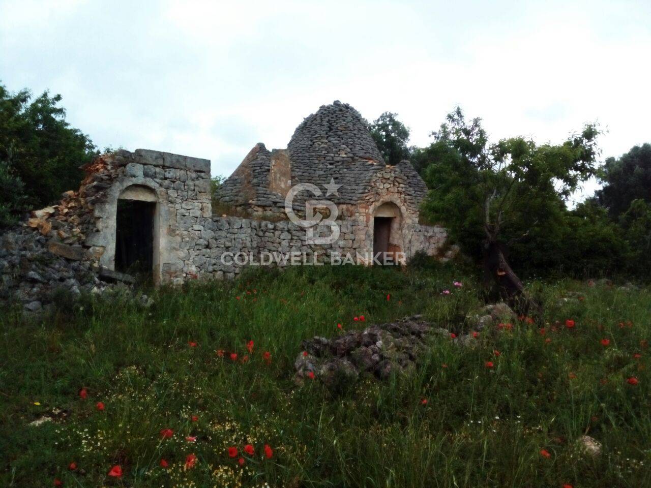 Trulli for sale in San Michele Salentino