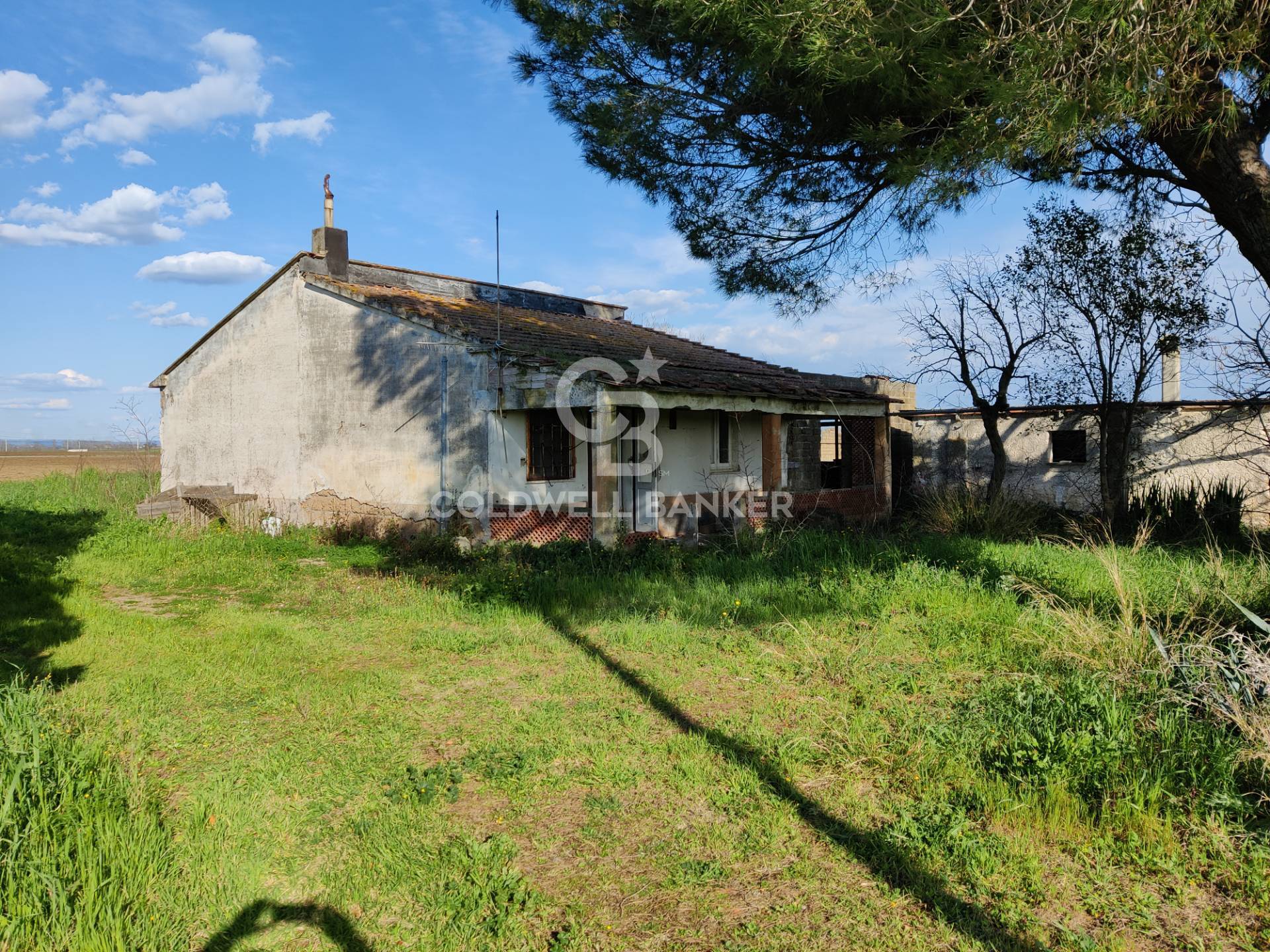Foto - Rustico In Vendita Montalto Di Castro (vt)