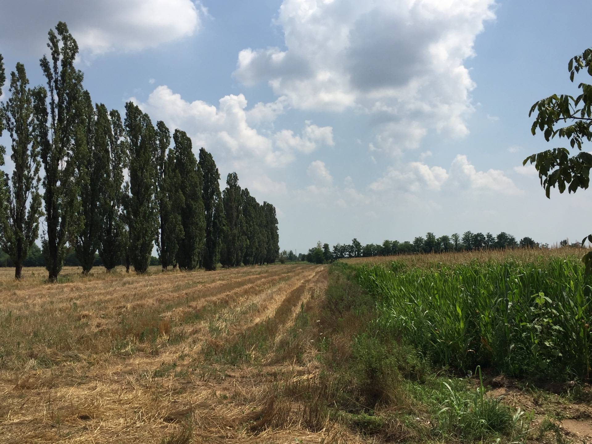 Terreno in vendita a Inveruno