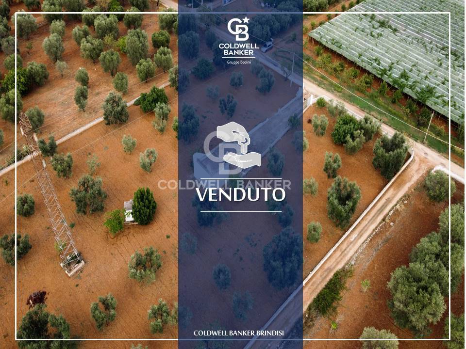 Terreno in vendita a Carovigno - Zona: Serranova