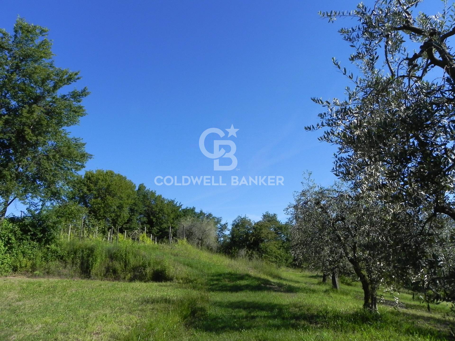 Terreno Edificabile in vendita a Puegnago sul Garda - Zona: Palude