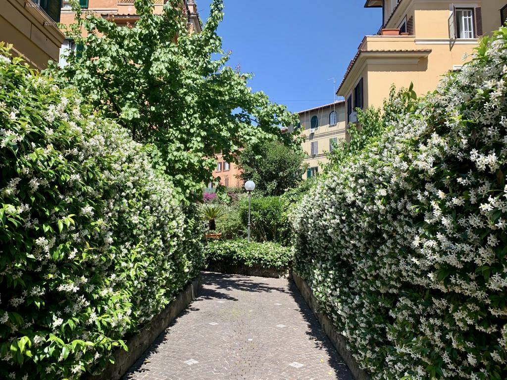 Appartamento in affitto a Roma