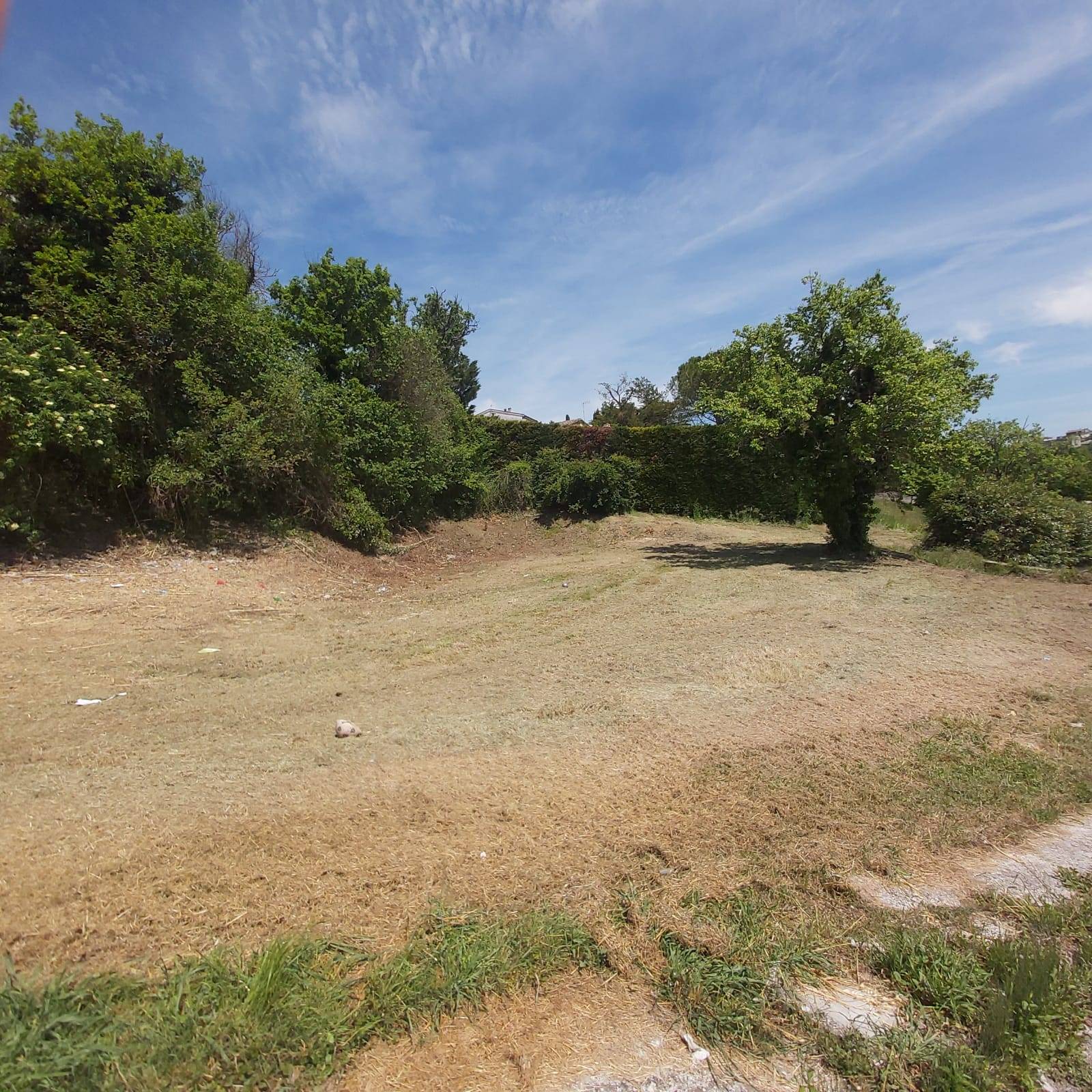 Land for sale in Montecastrilli