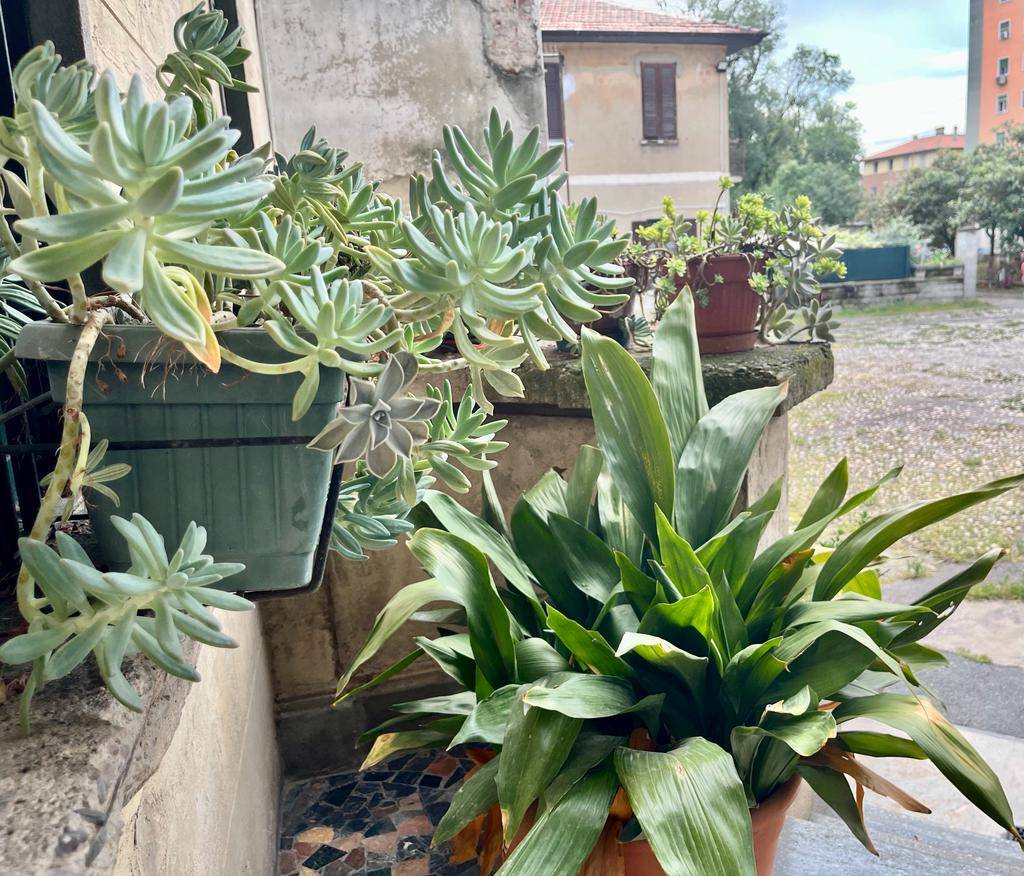 2 Rooms for rent in Milano Bovisa Ref. CBI1121403301156