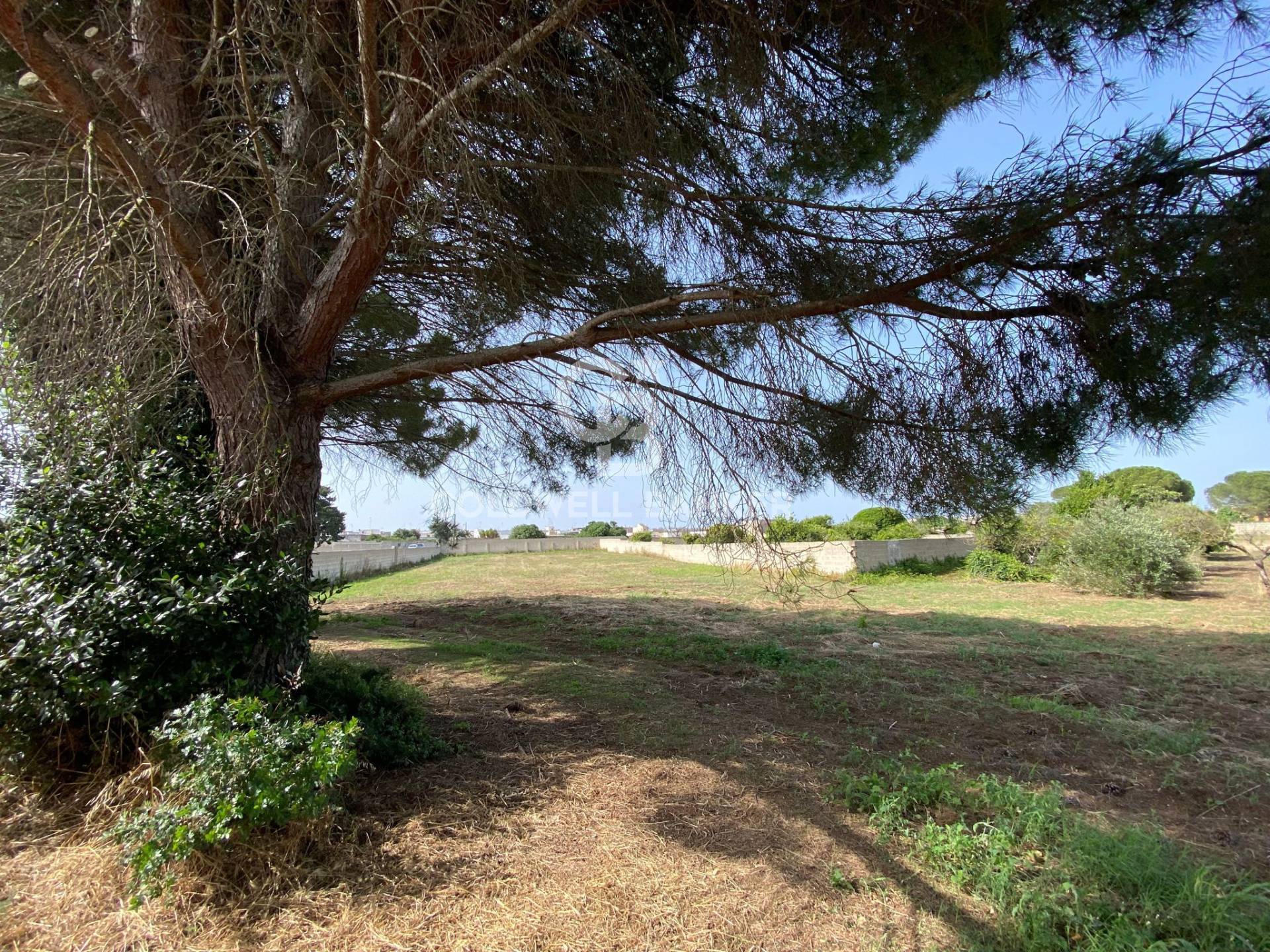 Terreno Edificabile in vendita a Vernole