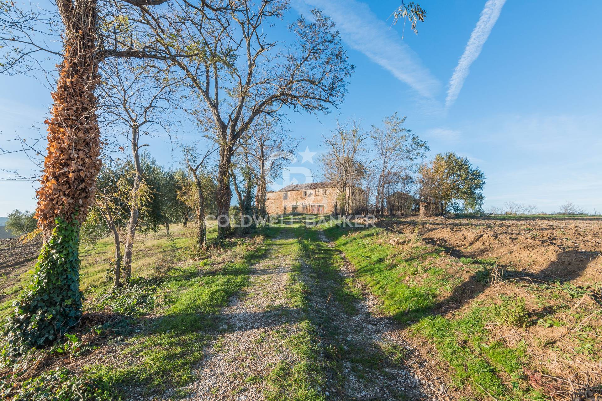 Rustic Farmhouse Court for sale in Mondavio San Michele al Fiume