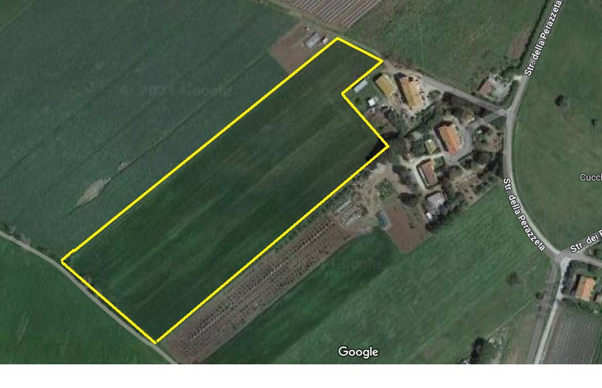 Terreno agricolo in vendita a Pescia Romana, Montalto Di Castro (VT)