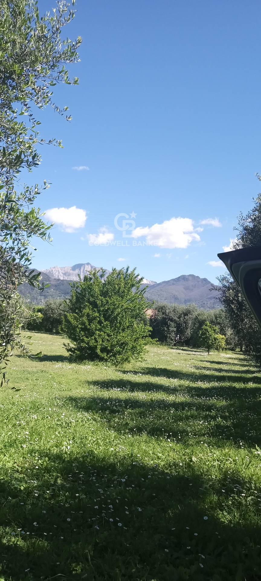 Terreno Edificabile in vendita a Pietrasanta