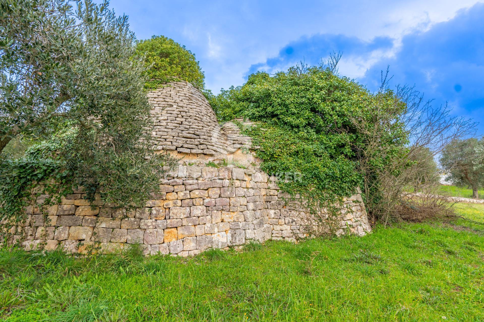 Trulli for sale in Ostuni
