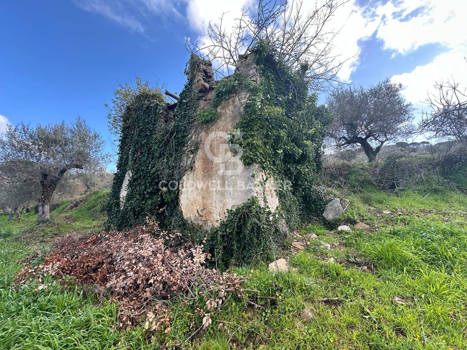Terreno agricolo in vendita a Perdifumo