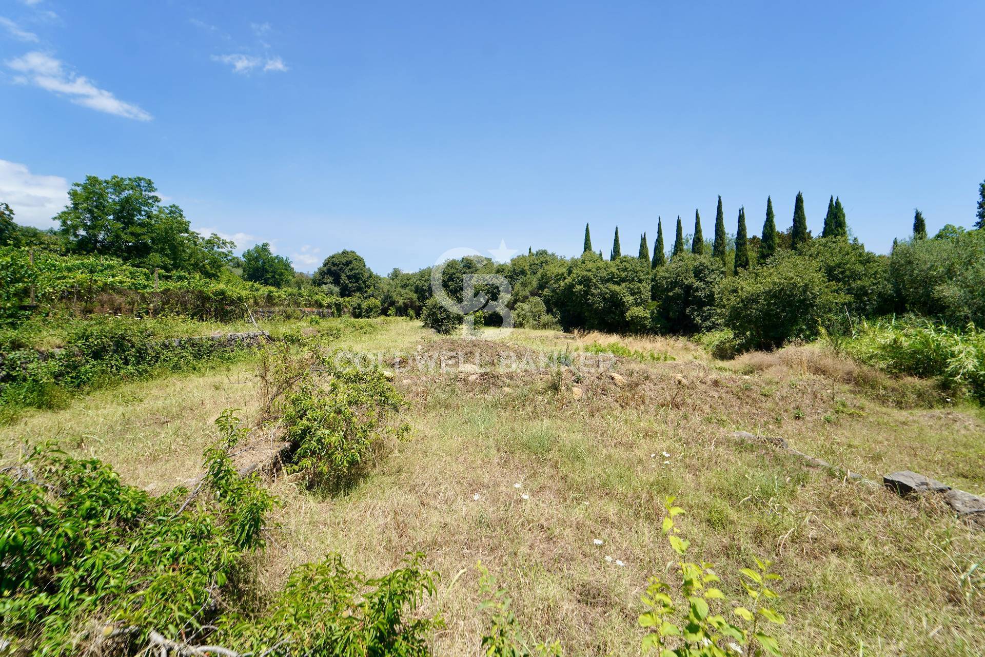 Terreno agricolo in vendita a Giarre