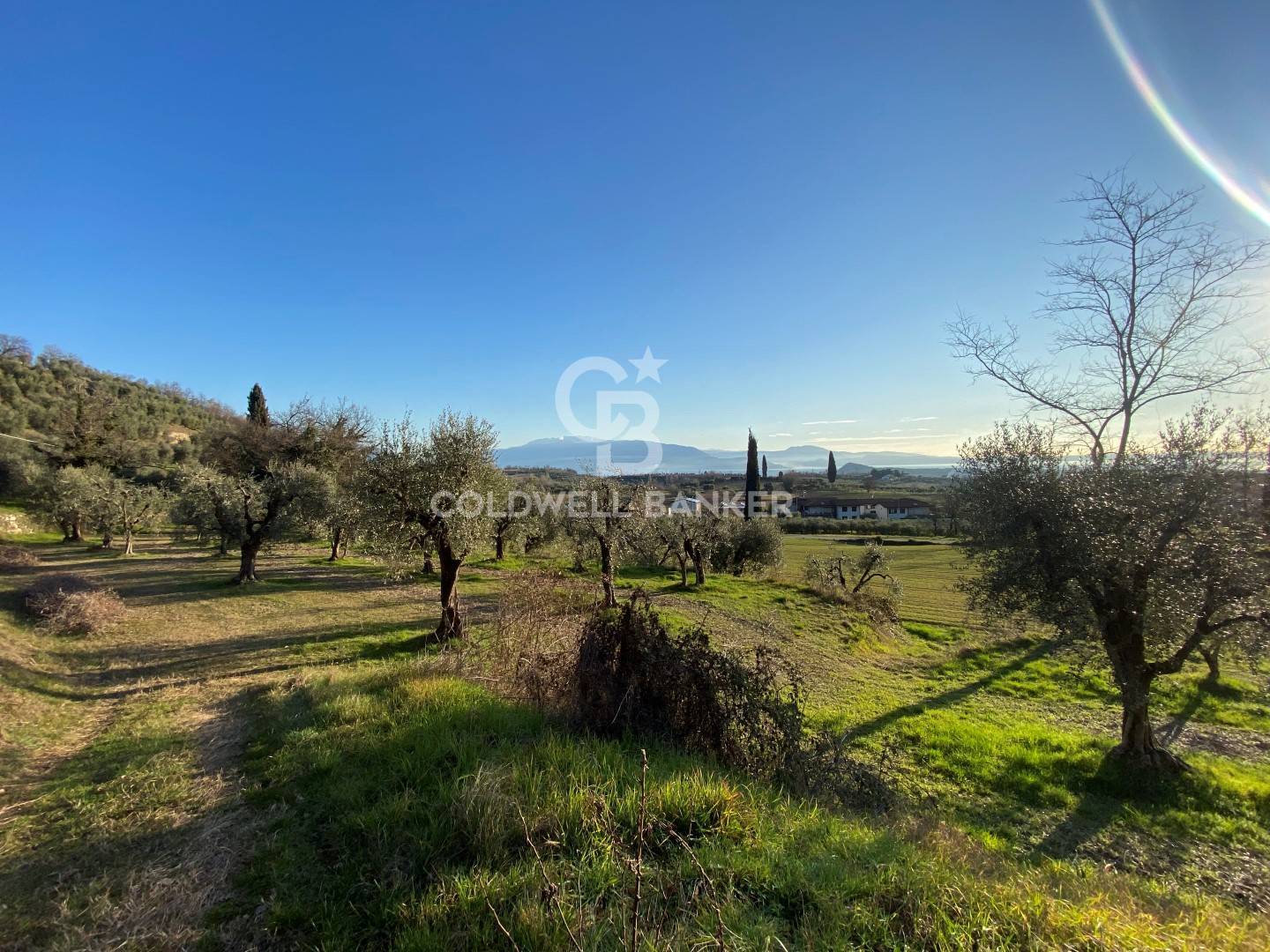 Terreno agricolo in vendita a Polpenazze del Garda