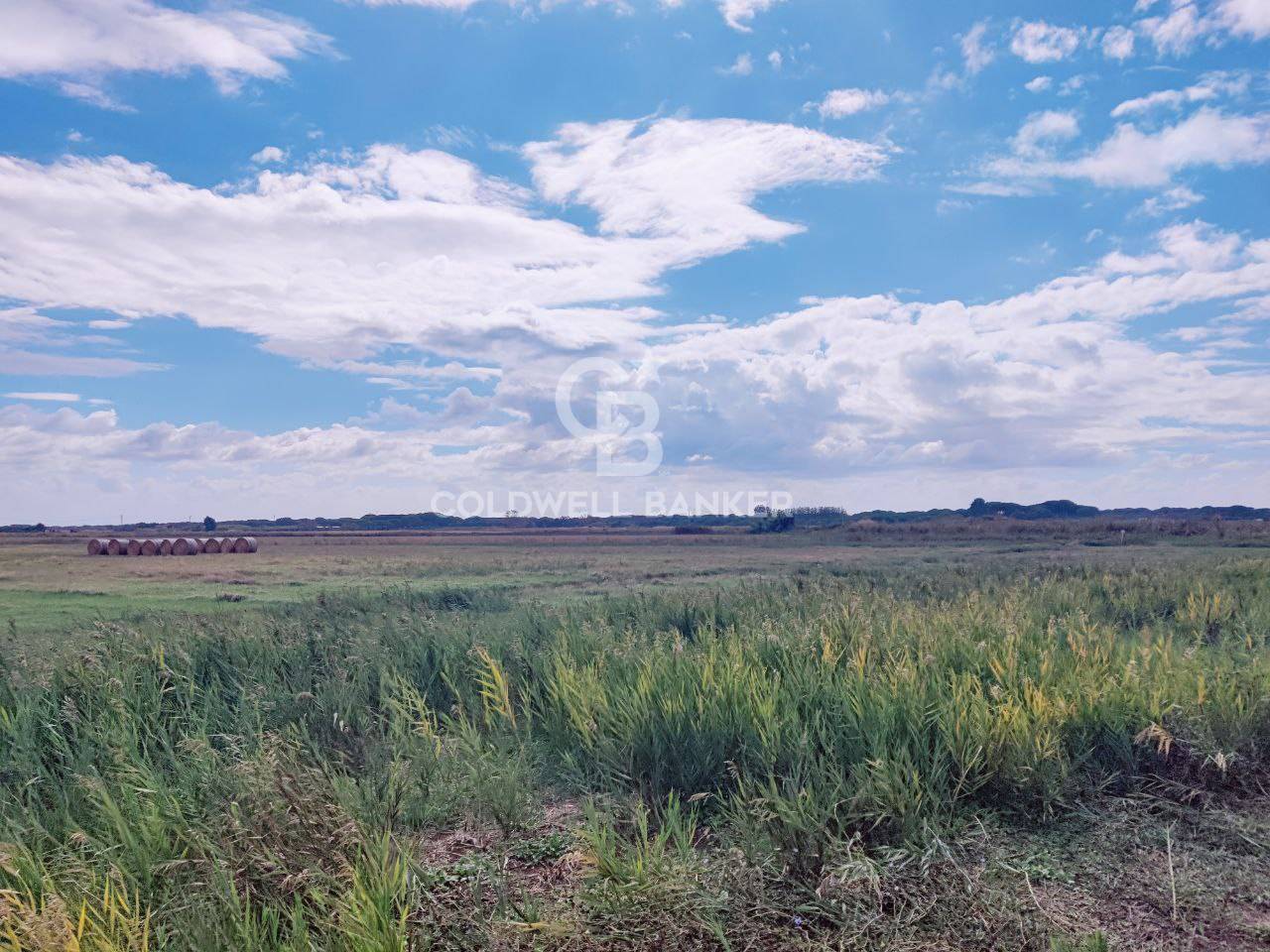 Terreno agricolo in vendita a Pescia Romana, Montalto Di Castro (VT)