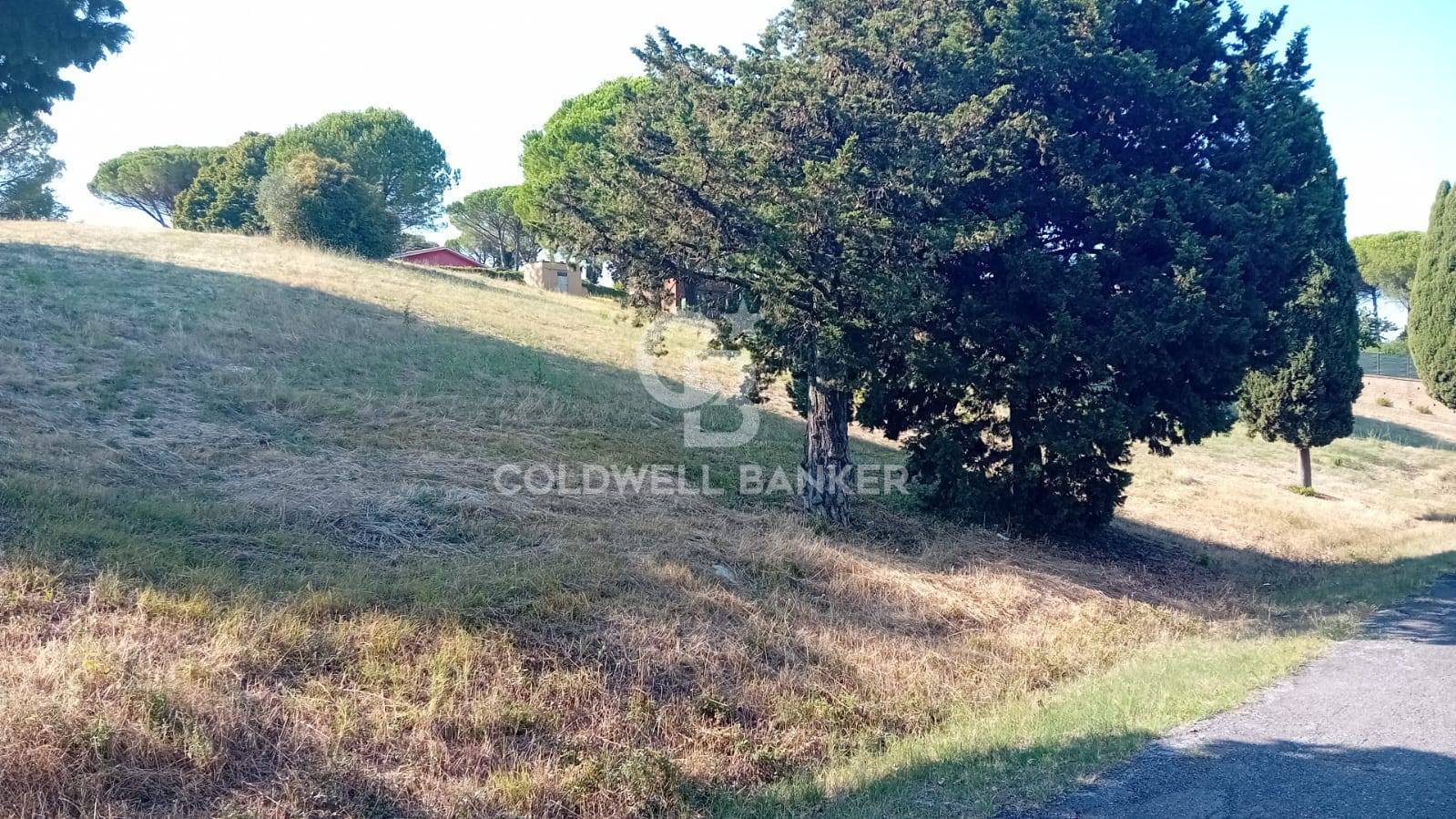 Terreno agricolo in vendita a Sutri (VT)