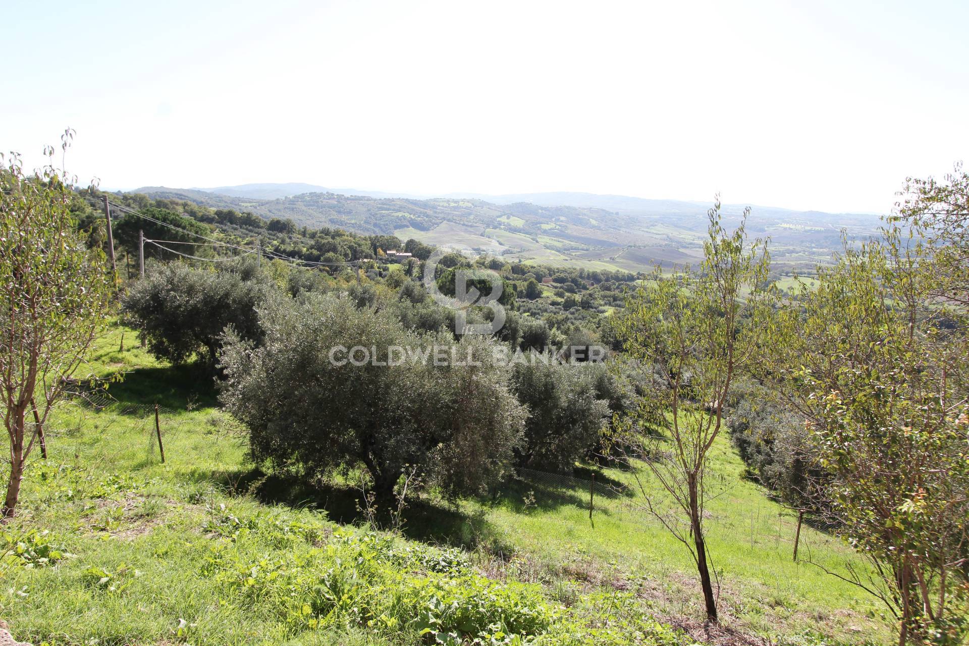 Casa indipendente in vendita a Manciano