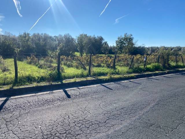 Terreno agricolo in vendita a Vetralla (VT)