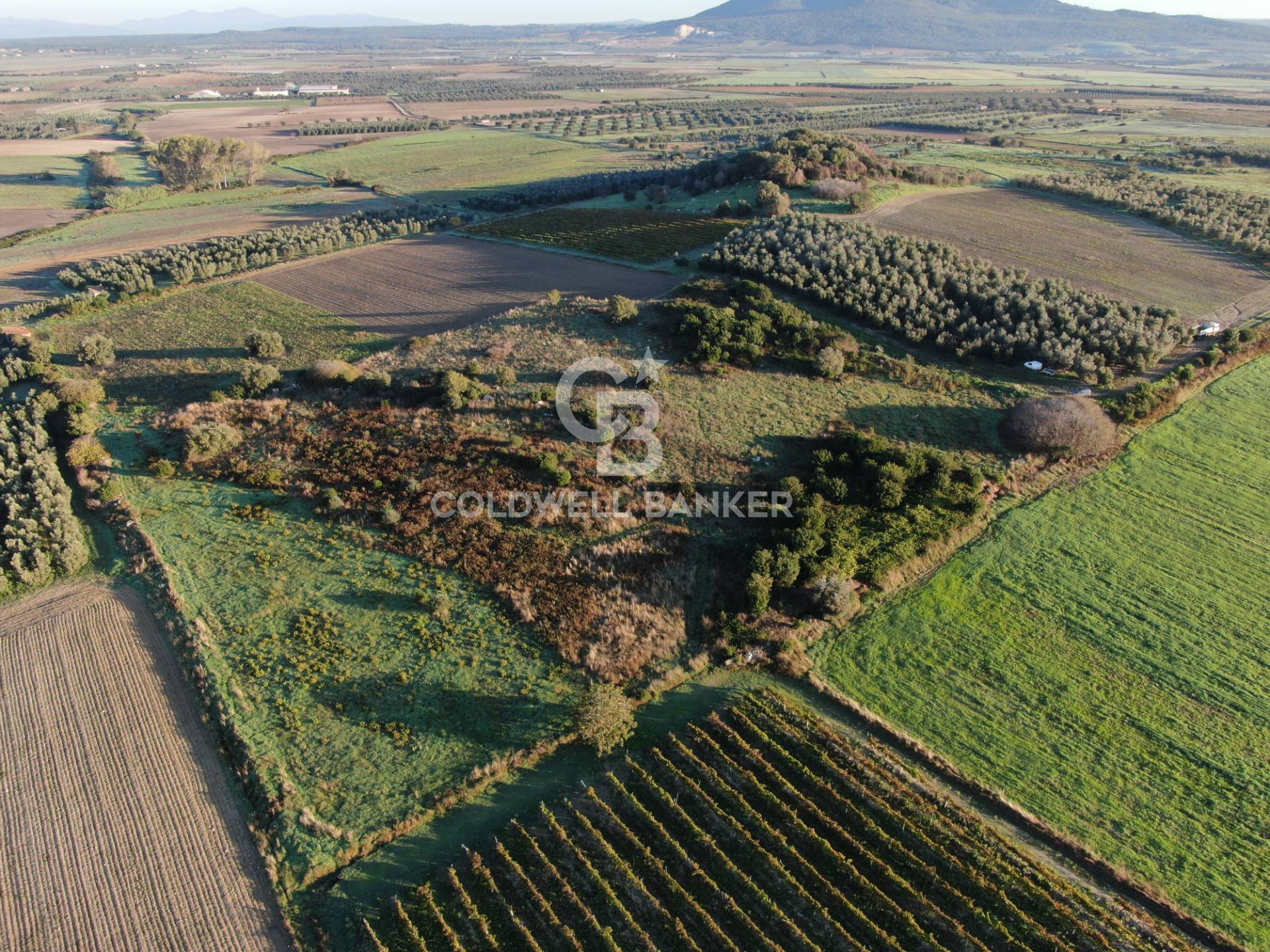 Terreno agricolo in vendita a Canino (VT)