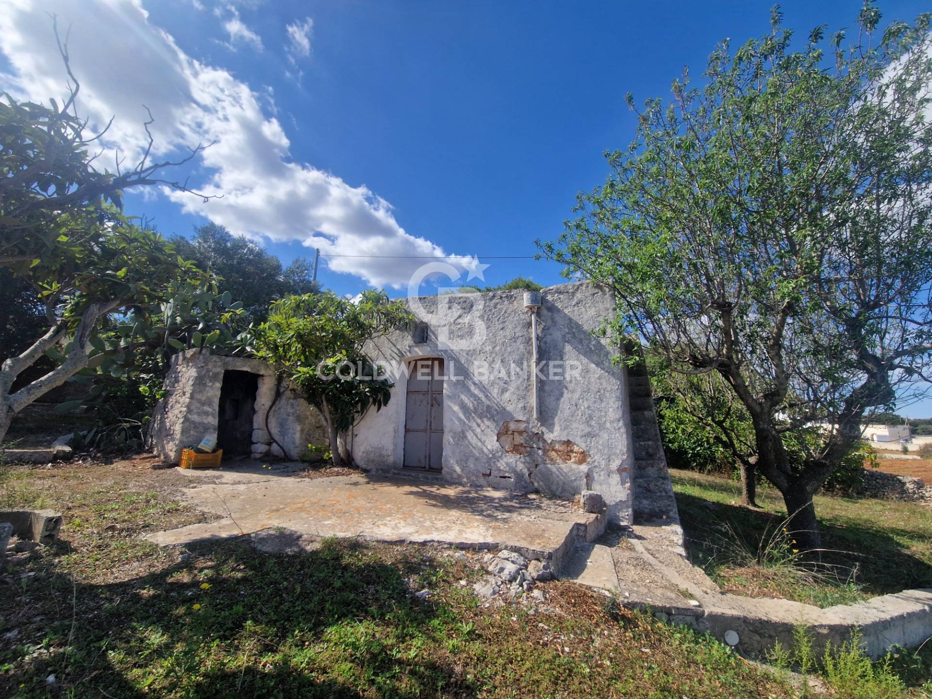 Terreno agricolo in vendita a Ostuni