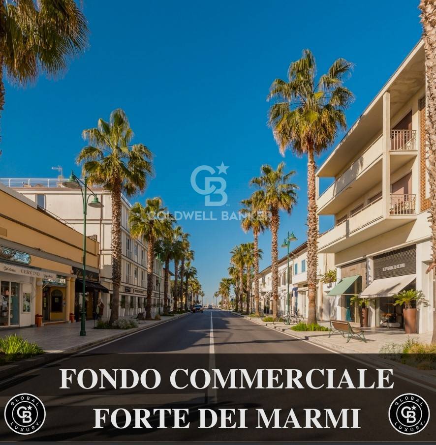 Negozio in affitto a Forte dei Marmi
