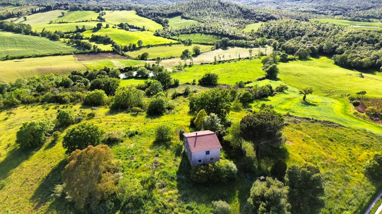 Rustico/Casale/Corte in vendita a Capalbio