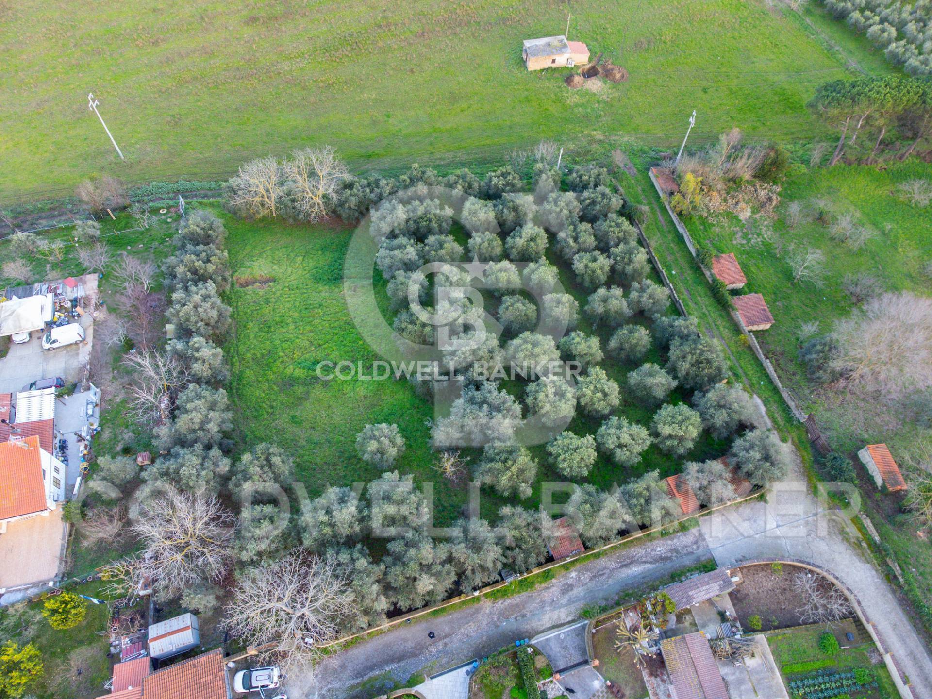 Terreno Edificabile in vendita a Anguillara Sabazia