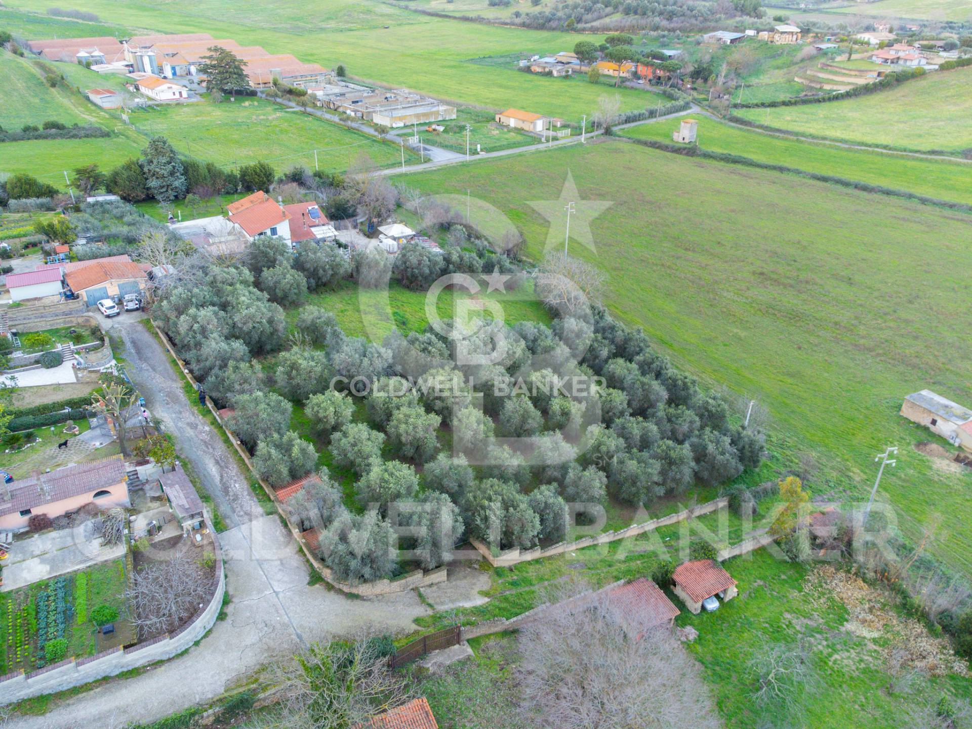 Terreno Edificabile in vendita a Anguillara Sabazia