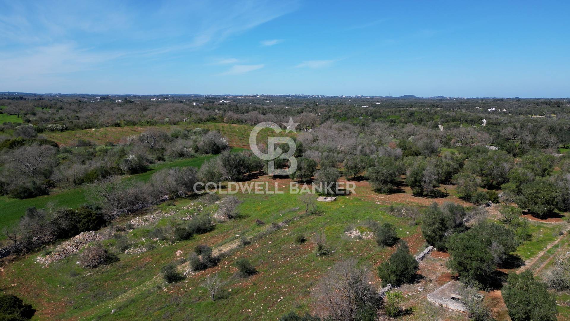 Terreno agricolo in vendita a Ostuni