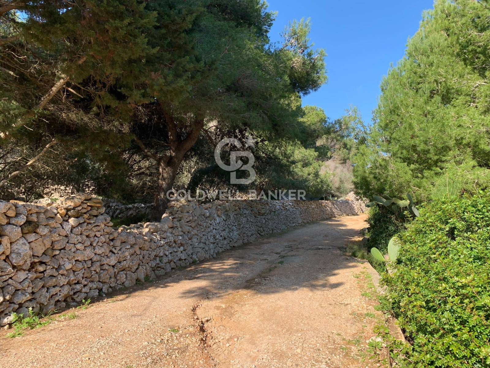 Terreno agricolo in vendita a Gagliano del Capo