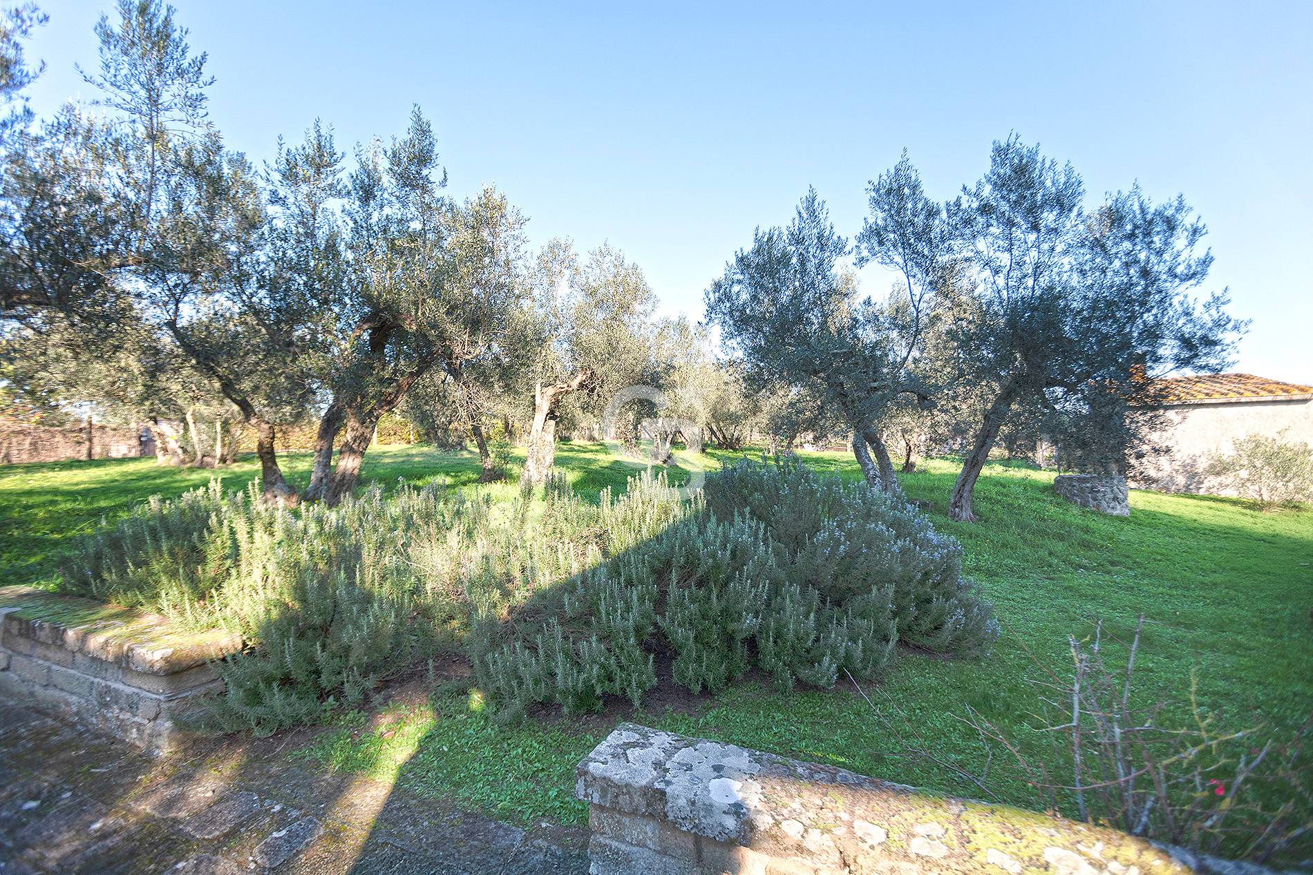 Villa in vendita a Vetralla (VT)
