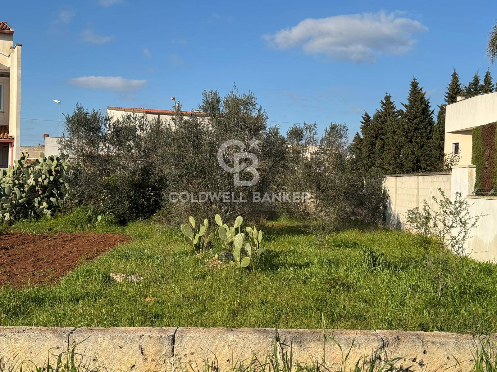 Terreno Edificabile in vendita a Soleto