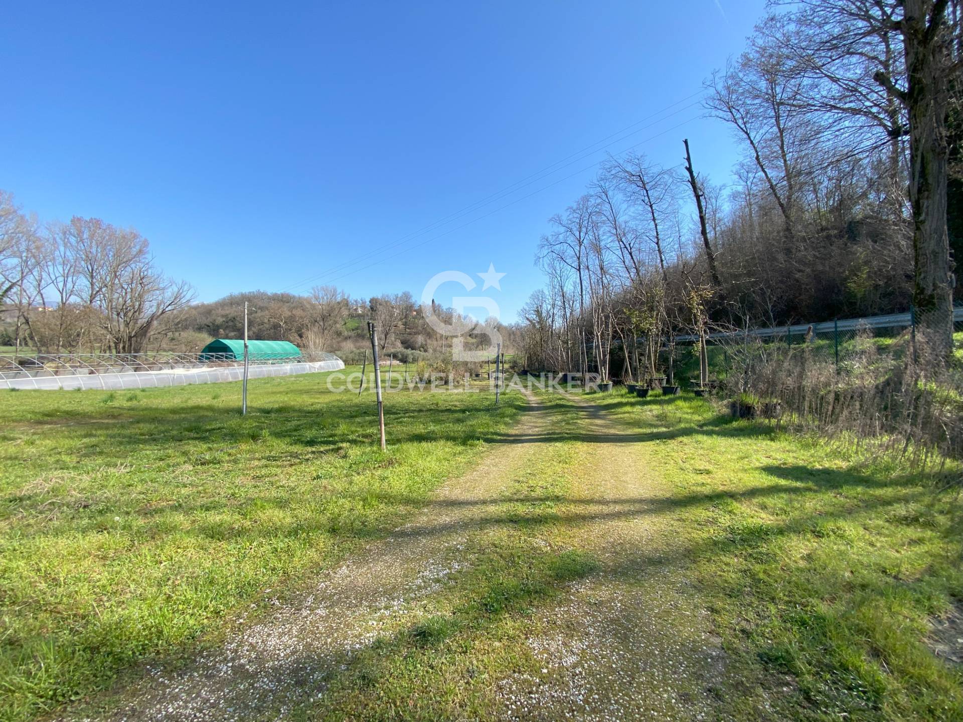 Terreno agricolo in vendita a Padenghe sul Garda