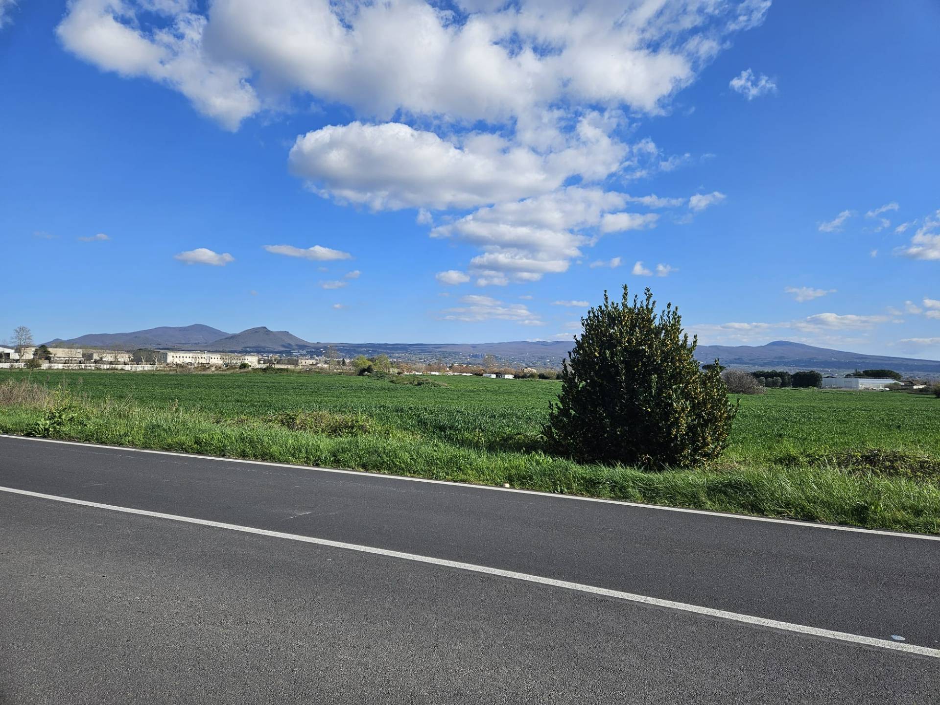 Fondo commerciale in affitto a Viterbo (VT)