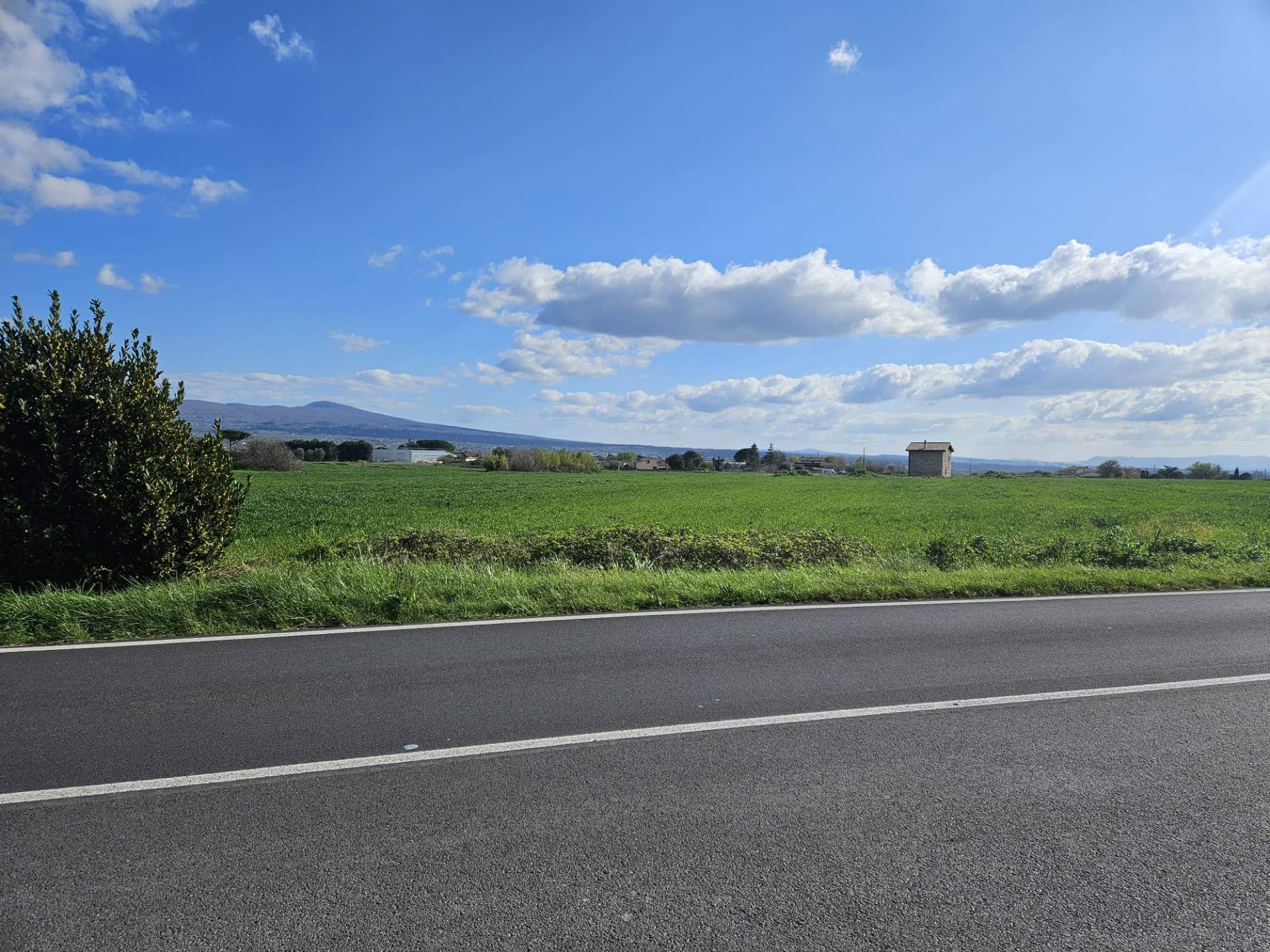 Fondo commerciale in affitto a Viterbo (VT)