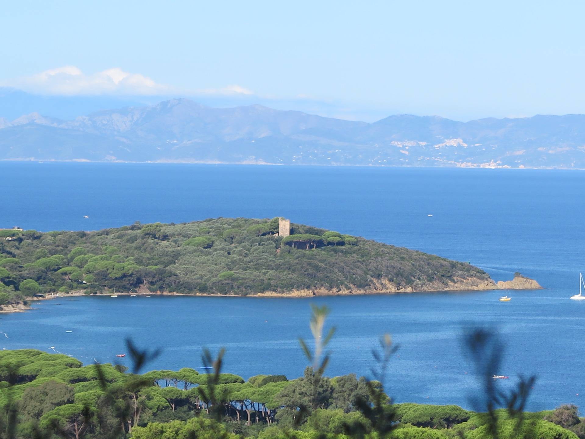 Attico in affitto a Castiglione della Pescaia