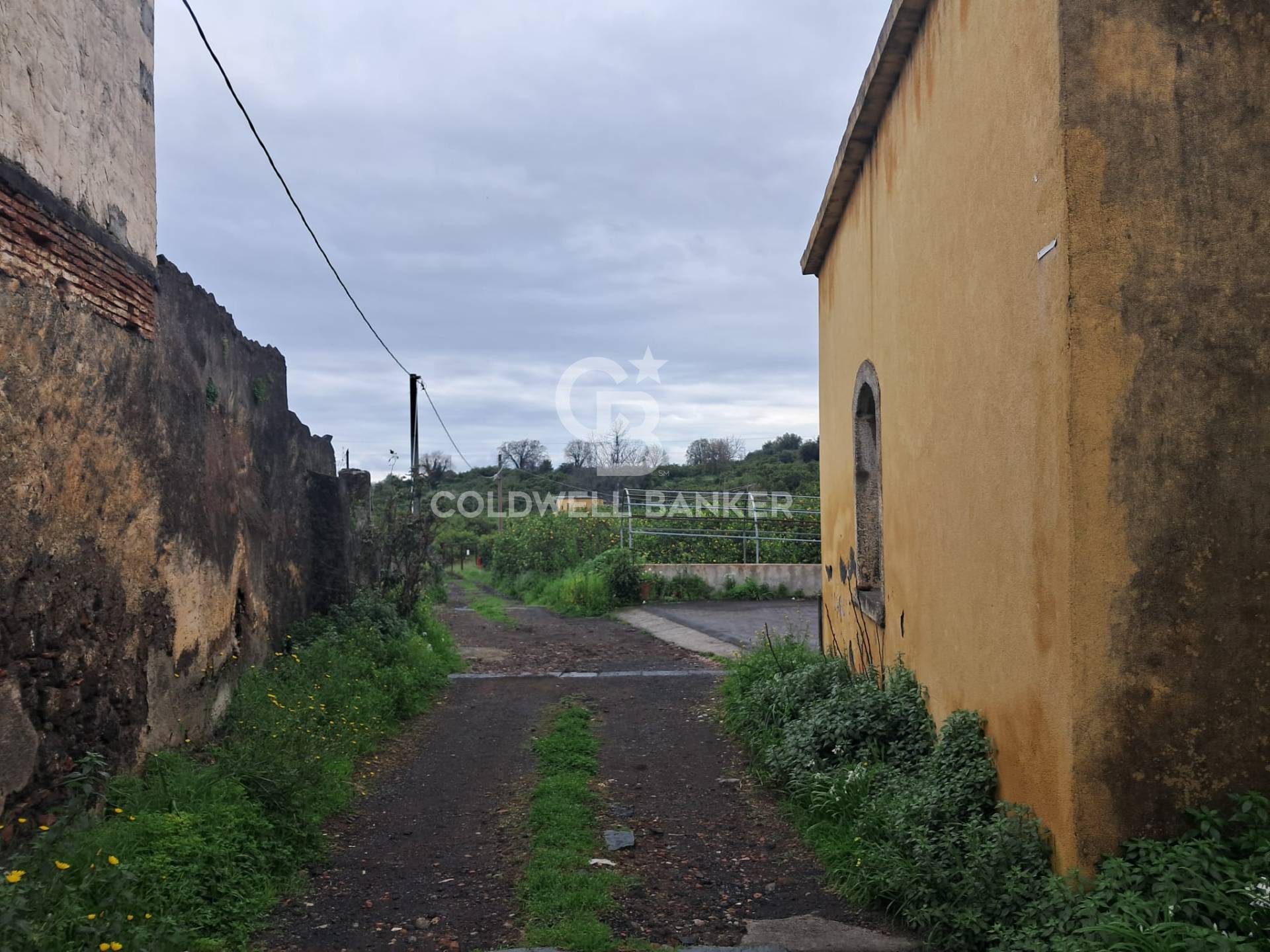 Terreno agricolo in vendita a Acireale
