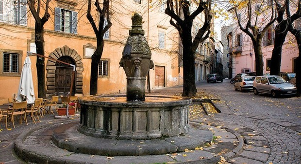 Bar in vendita a Viterbo (VT)