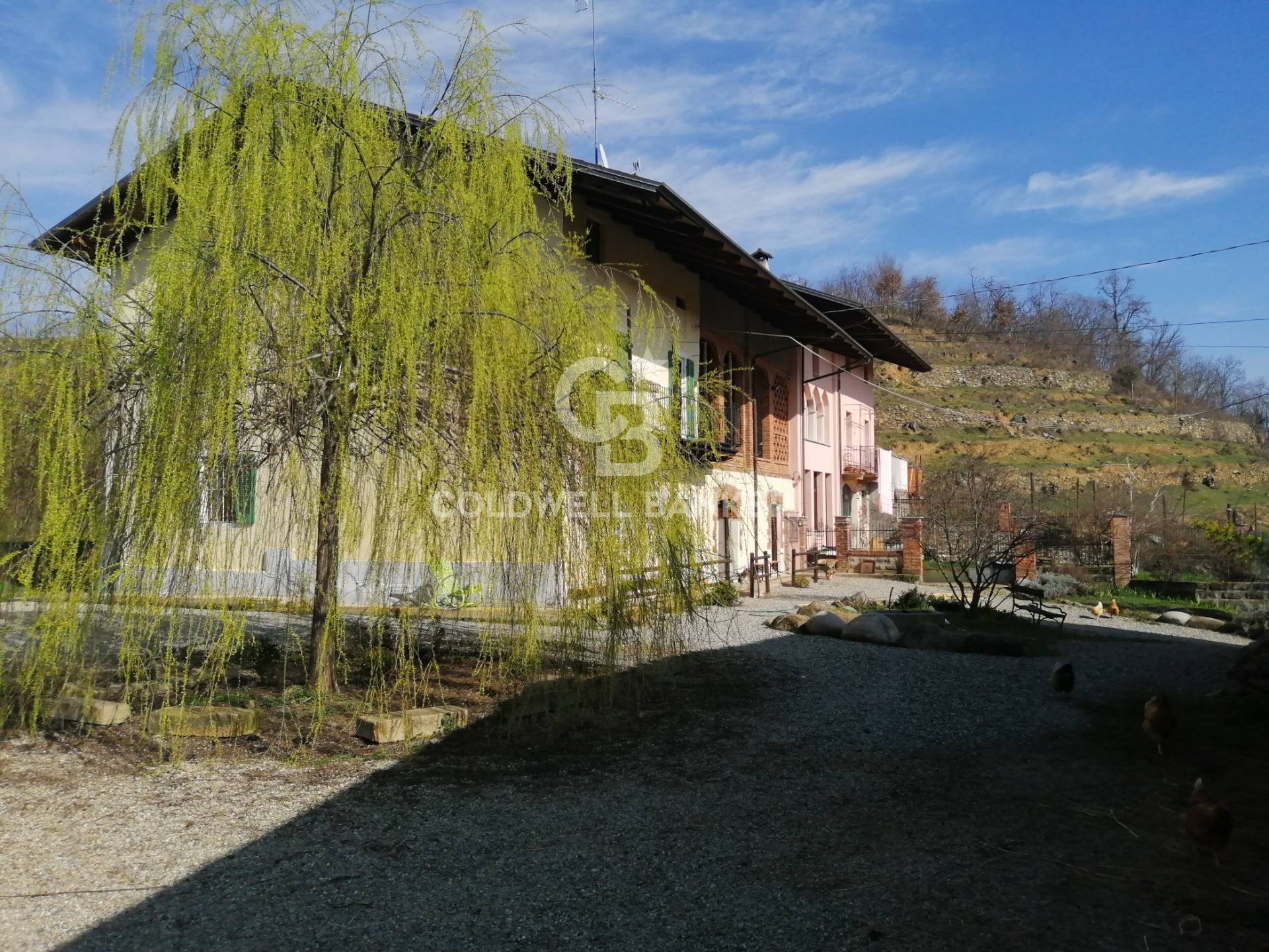 Farmhouse for sale in Salussola