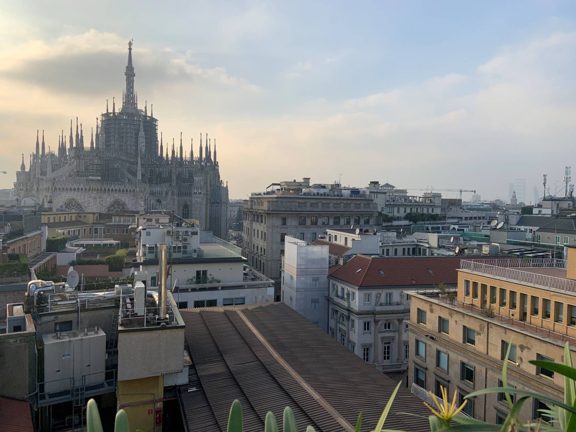 Attico in affitto a Milano