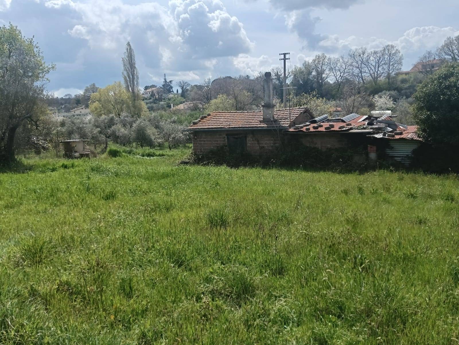 Casa indipendente in vendita a Viterbo