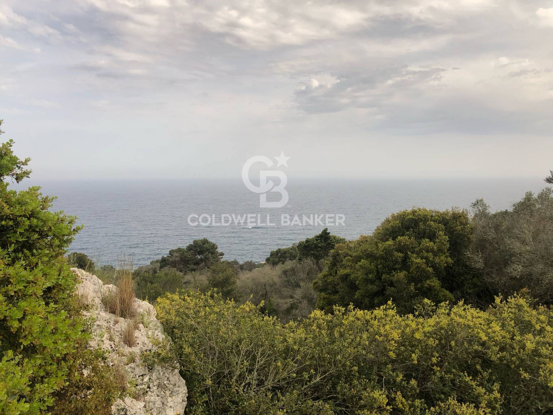 Agricultural Land for sale in Diso