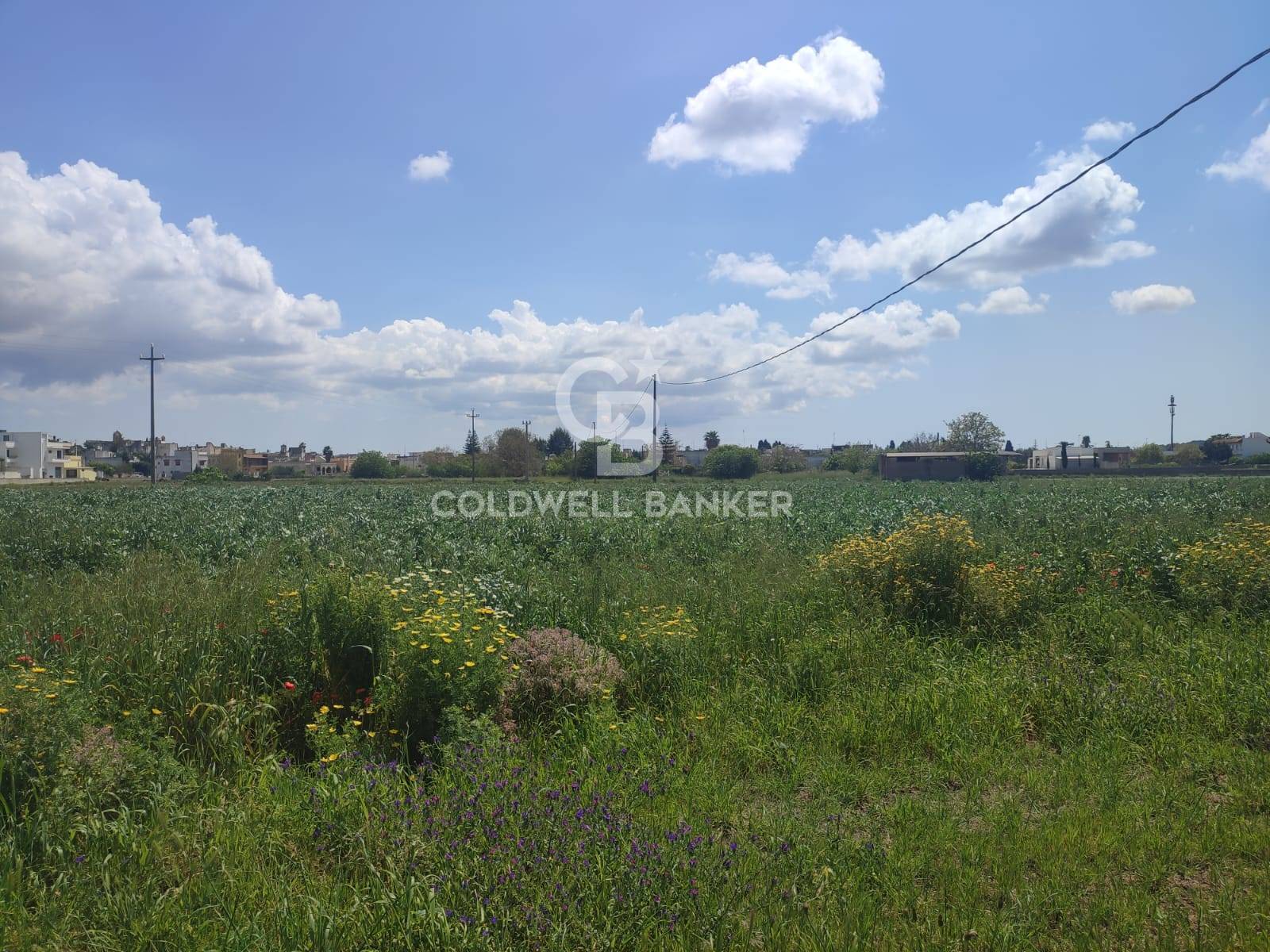 Terreno agricolo in vendita a Ruffano
