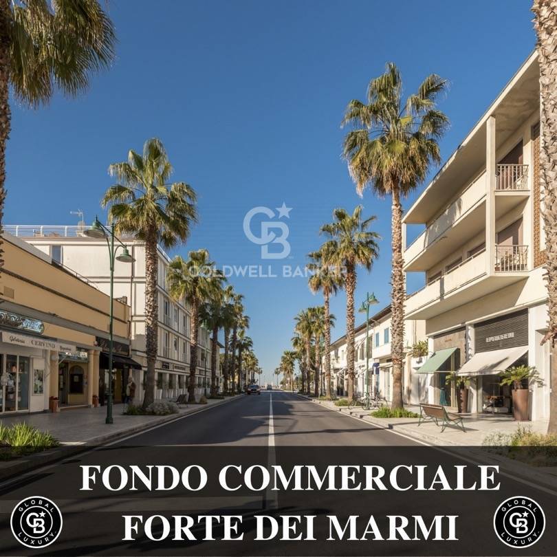 Locale commerciale in vendita a Forte dei Marmi