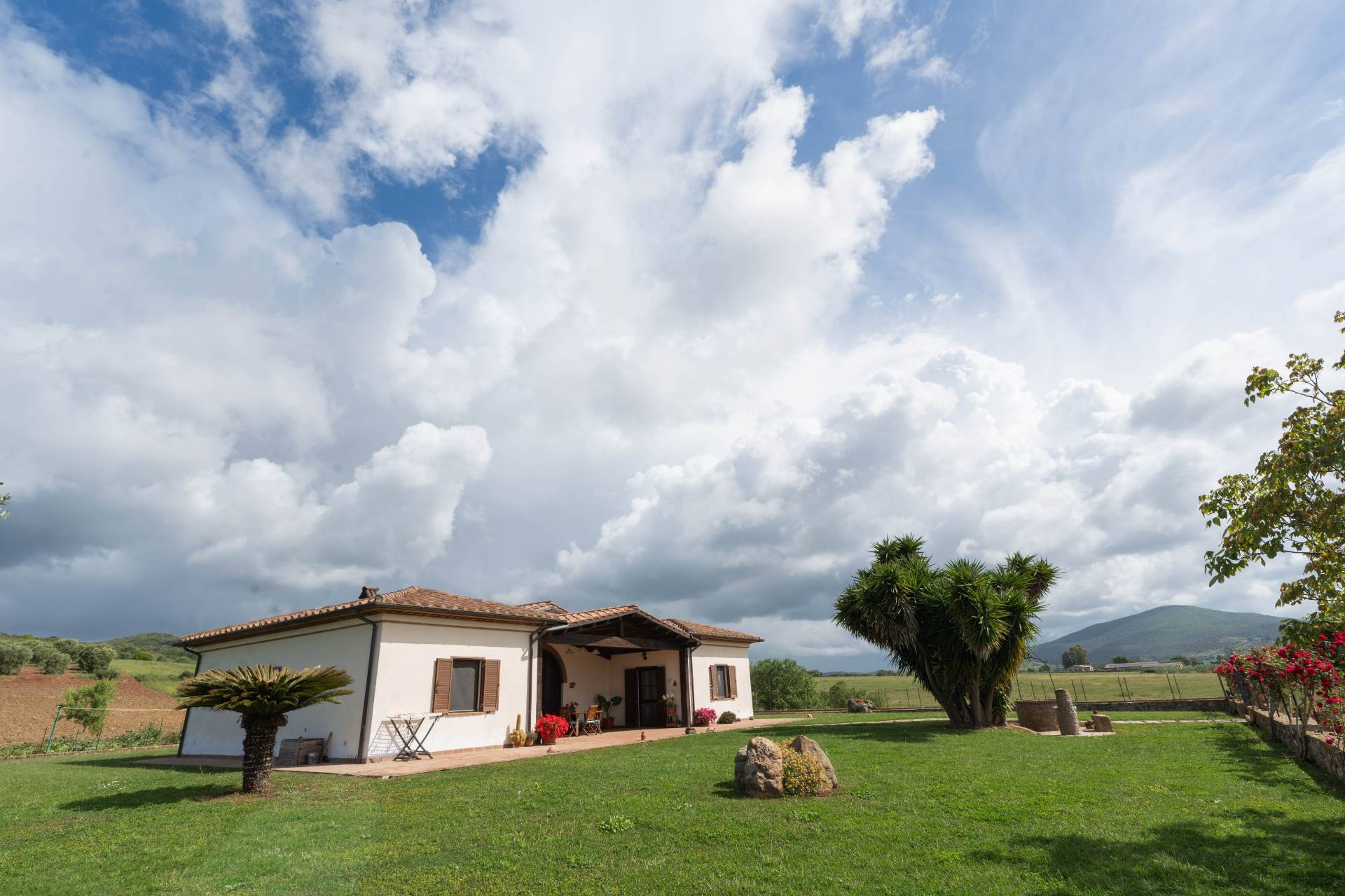 Villa in vendita a Capalbio (GR)