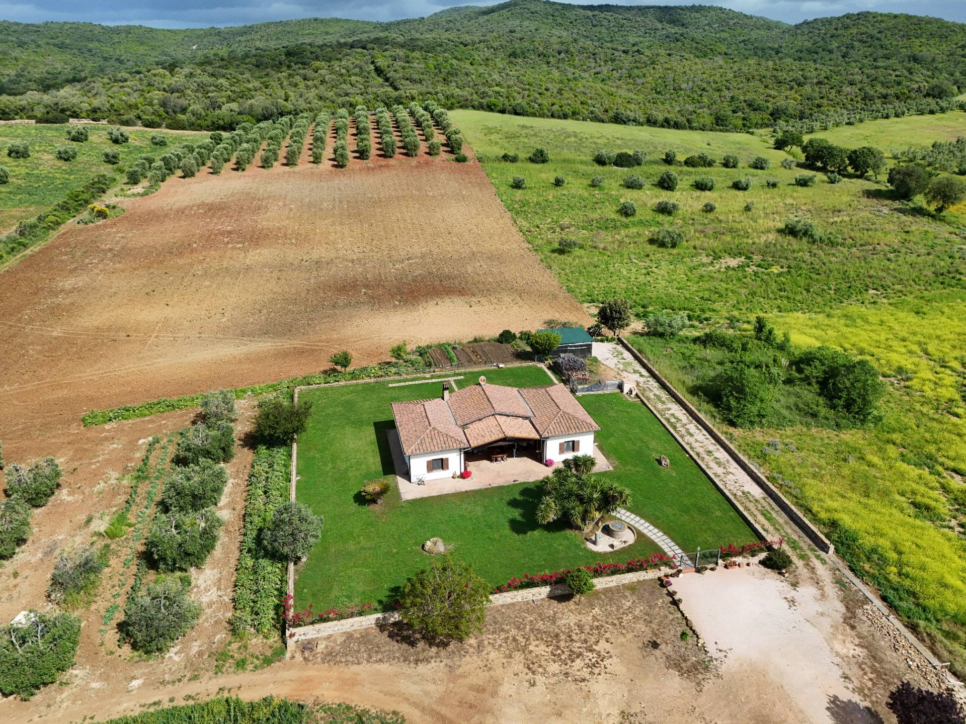 Villa in vendita a Capalbio (GR)