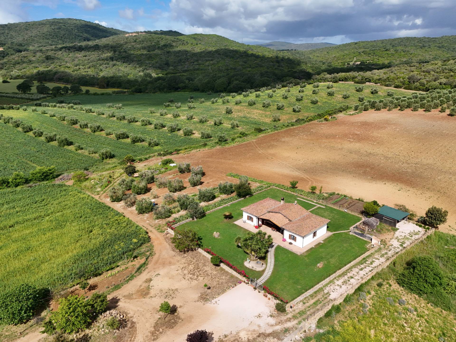 Villa in vendita a Capalbio (GR)