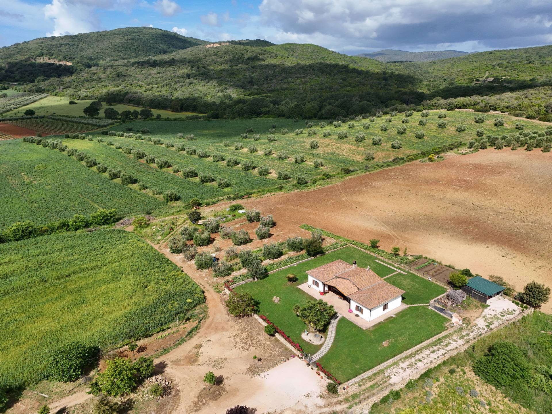 Villa in vendita a Capalbio (GR)