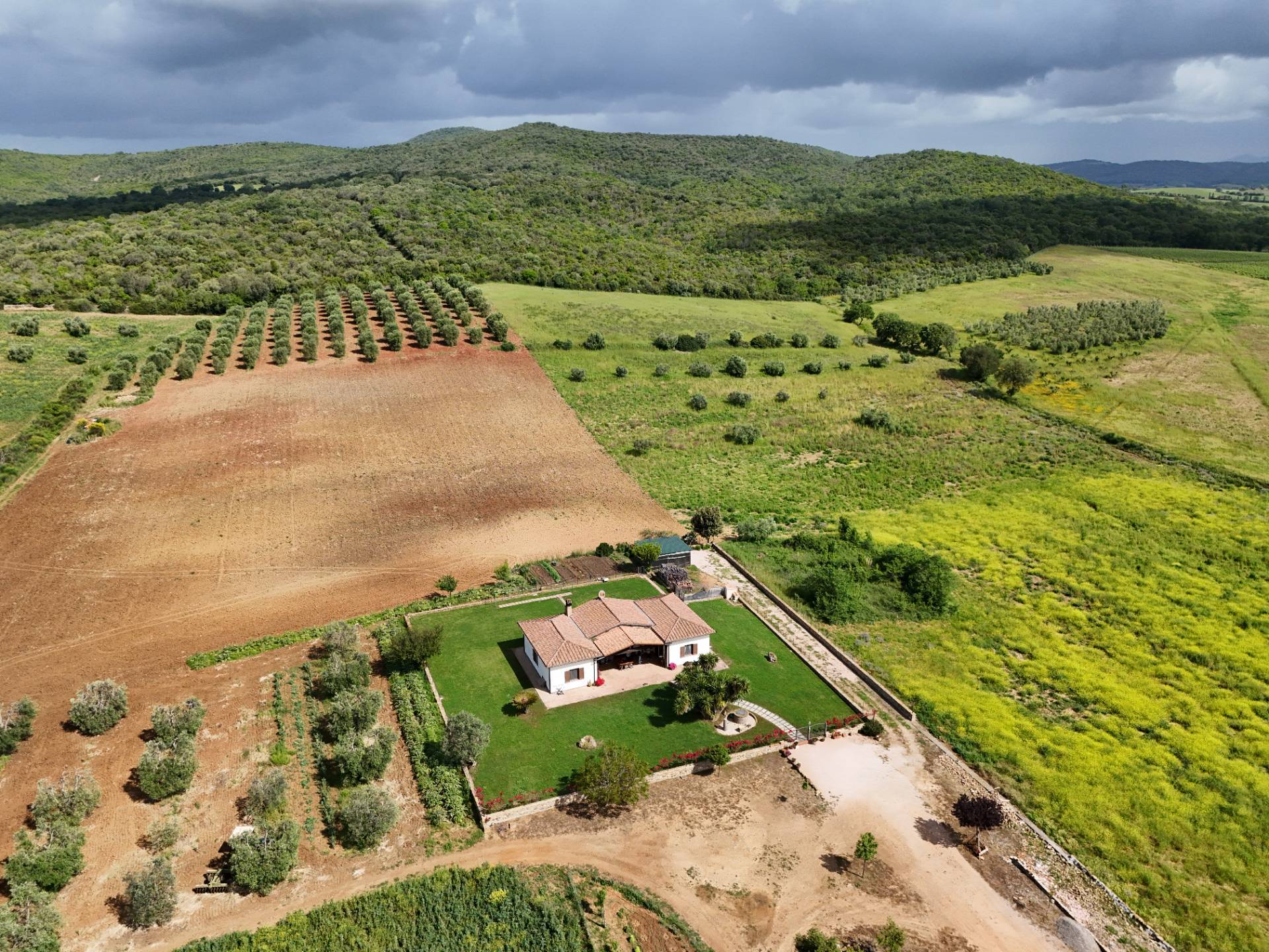 Villa in vendita a Capalbio (GR)