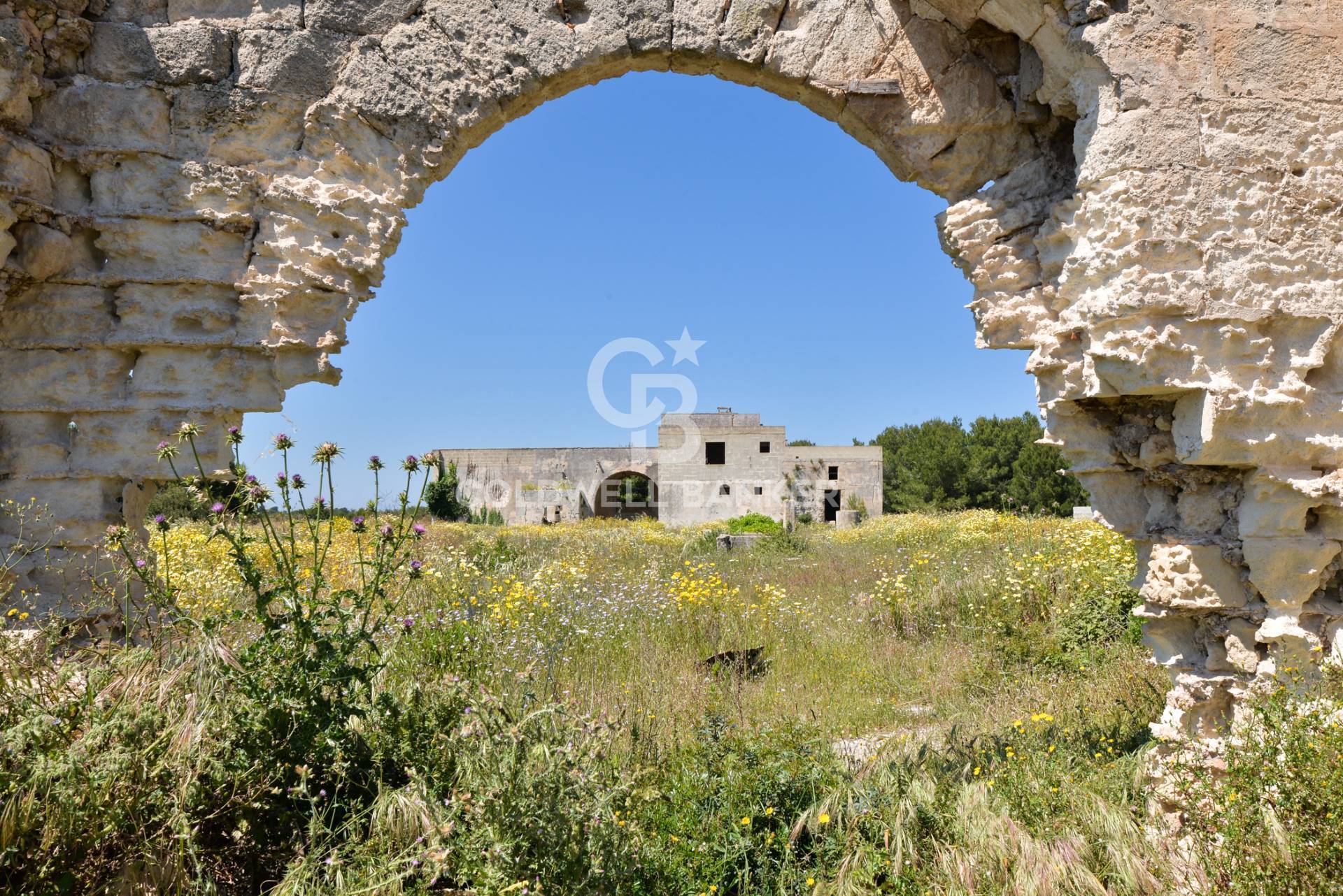  for sale in Lecce
